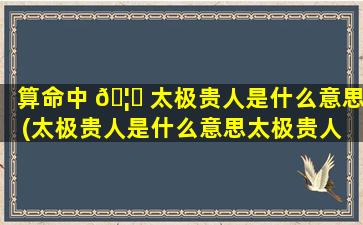 算命中 🦋 太极贵人是什么意思(太极贵人是什么意思太极贵人 🦢 的查法)